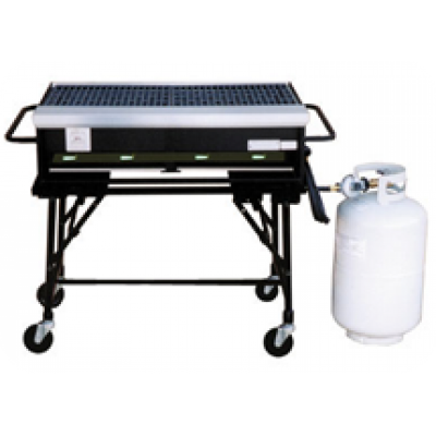 Gas Grill 3'